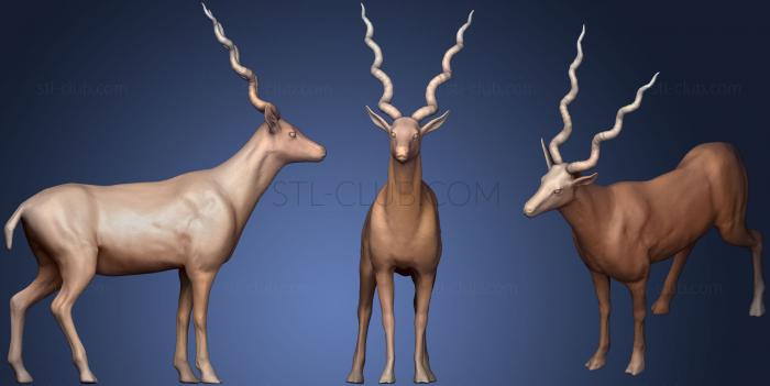 3D model Realistic Antelope (STL)